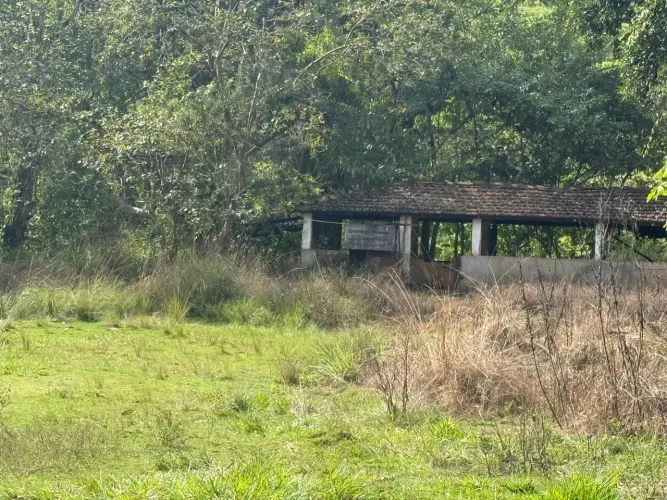 Fazenda de 54 alqueires em Santa Maria Madalena-RJ