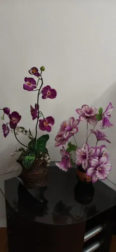 Vasos de flor decoração