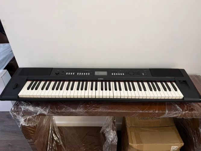 Teclado Yamaha Piaggero NP-V80