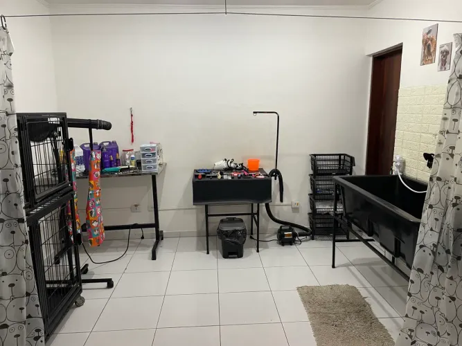 Pet Soprador secador banheira G e mesa