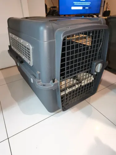 Caixa de Transporte para Cães e Gatos padrão IATA - Gomoov