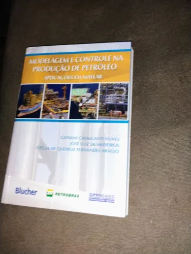 Modelagem e controle de produção de petróleo