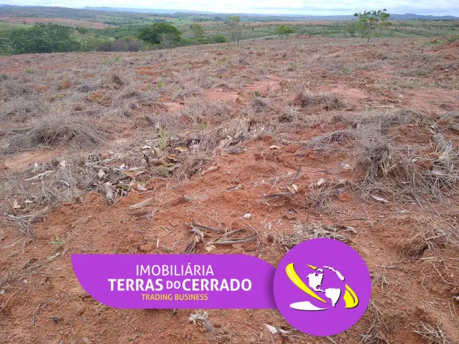 CHÁCARA DOS SONHOS 30.000m2: Apenas R$ 30mil de entrada!!