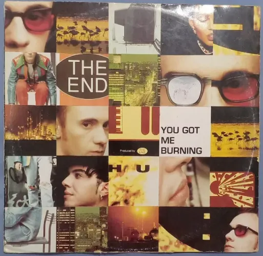 Disco de Vinil LP The End You Got Me Burning (importado)