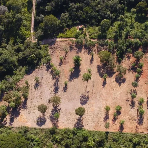 Terreno de mil metros em sitio