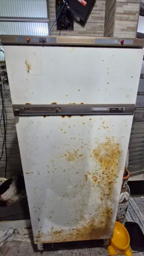 Geladeira Brastemp - 300 Litros