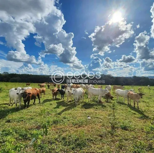 Fazenda à venda, 4 quartos, 1 suíte, Zona Rural - CAMPO FLORIDO/MG