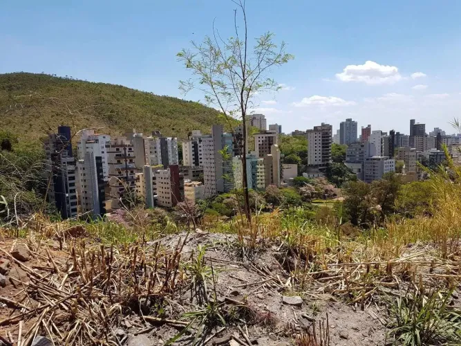 Lote - Terreno à venda, Mangabeiras - Belo Horizonte/MG