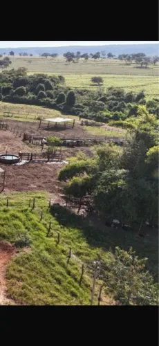 Fazenda dupla aptidão em santa vitória