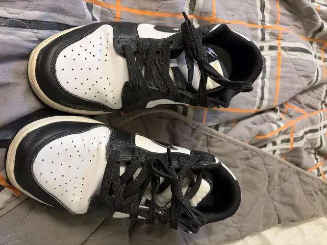 Nike dunk panda 41