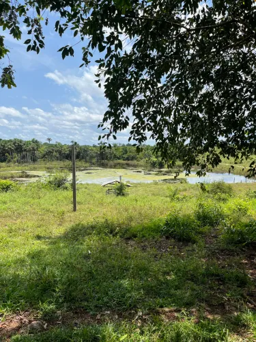 Fazenda à venda 