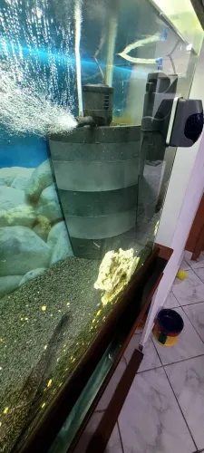 Aquário completo