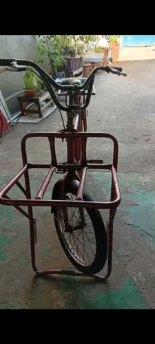 Bicicleta cargo