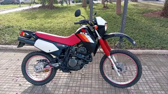 XLX