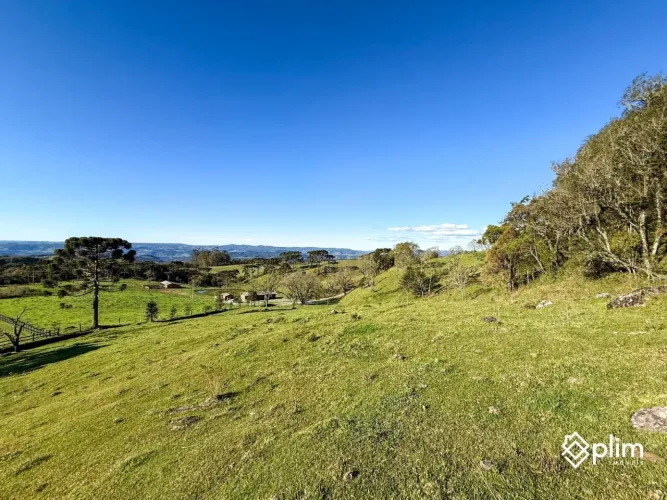 Terreno no alto da Santa Bárbara 40.000 m2 - Alfredo Wagner - Serra Catarinense