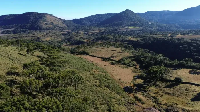 Mega fazenda com escritura, riacho, vista panoramica e neve no inverno, em Urubici - SC!.