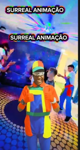 ANIMADOR DE FESTAS.