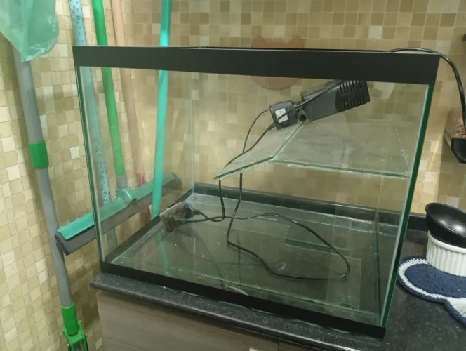 Aquaterrario semi-novo 