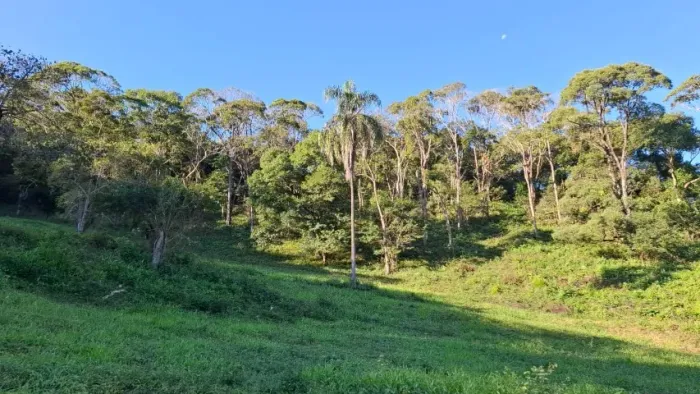 Terreno 4.70 hectares em Wenceslau Braz MG