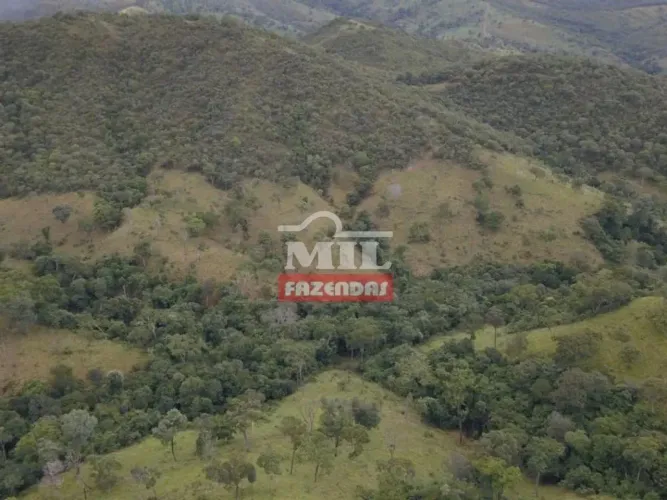 Fazenda de 130 alqueires (630 hectares) em Formoso - GO