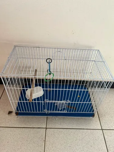 Gaiola