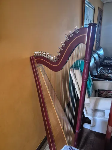 HARPA PARAGUAI COM CAPA