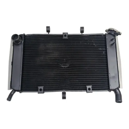 Radiador Com Tampa Yamaha Fazer 600 FZ600 XJ 2009
