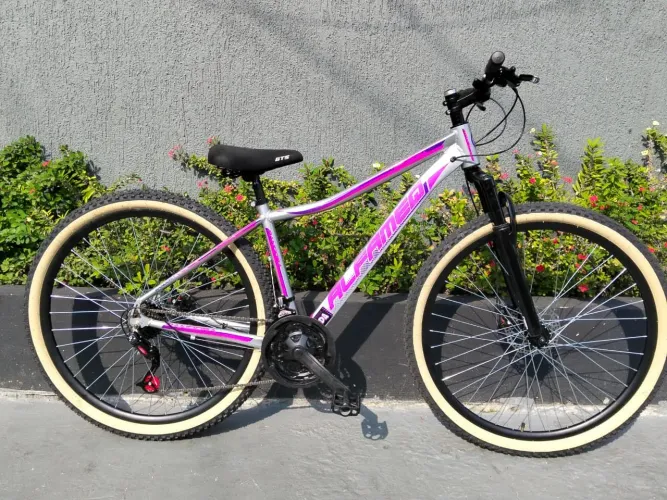 LANÇAMENTO BIKE 29 ALFAMEQ -CONFIRA
