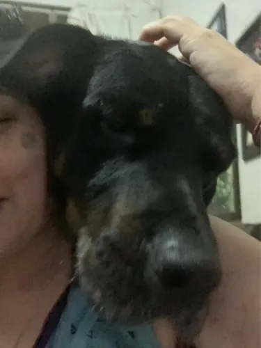 Doação 