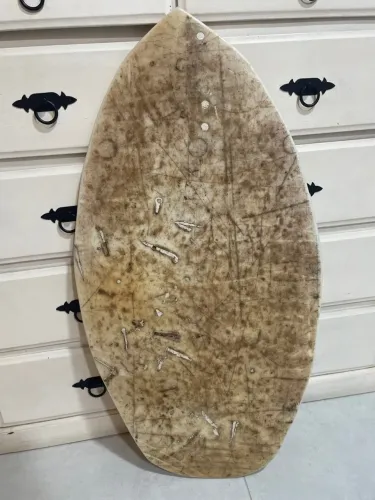 Prancha de skimboard 100$