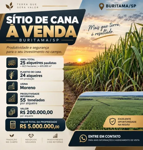SITIO A VENDA BURITAMA SP 25 ALQUEIRES CANA DE AÇUCAR