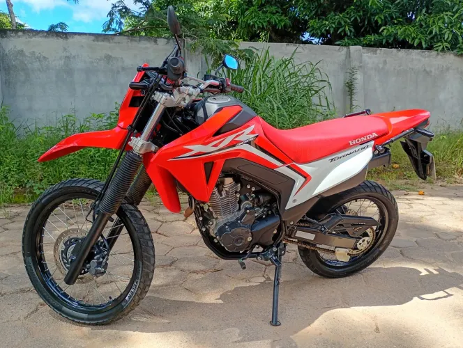 Honda XR TORNADO 300L 2025