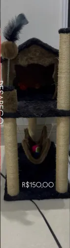 Casa para gatos 