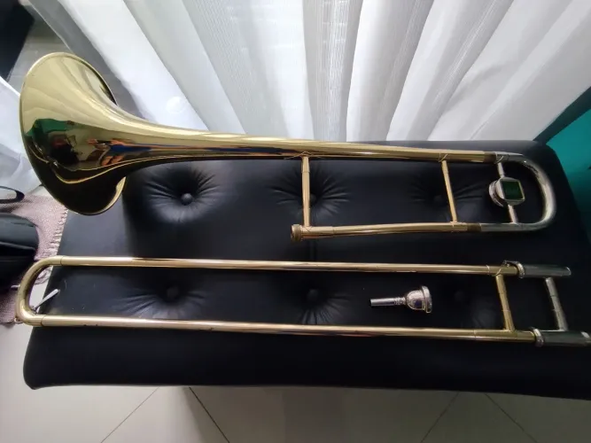 TROMBONE DE VARA WERIL!!!