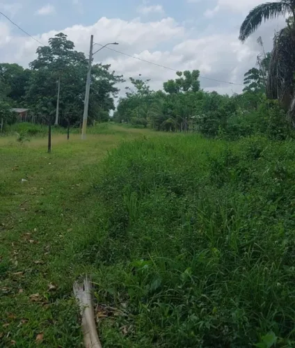 Vendo Terreno em mosqueiro 10 x 30 próx a praia