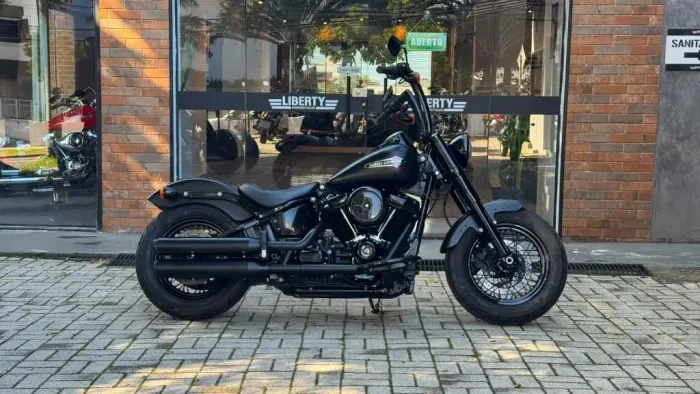 SOFTAIL SLIM FLSL