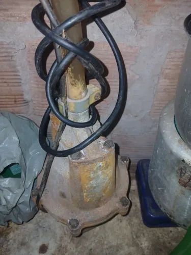 Bomba sapo