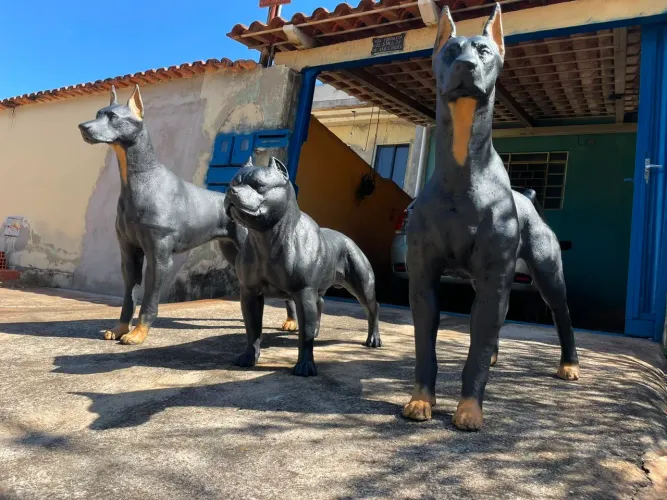 Doberman