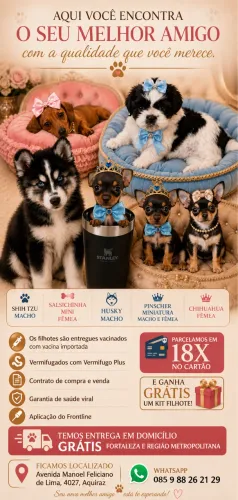 Os mais lindos com kit grátis em até 18x