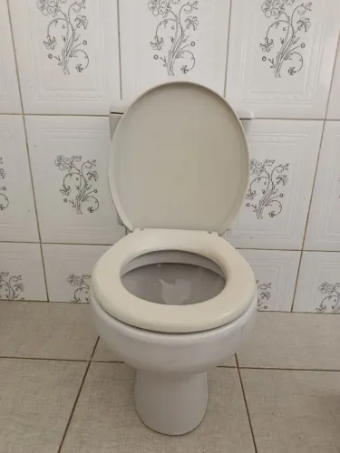 Vende-se um vaso sanitário aclopado com a caixa junto
