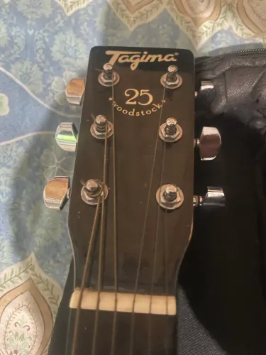 Violão Tagima Woodstock 25