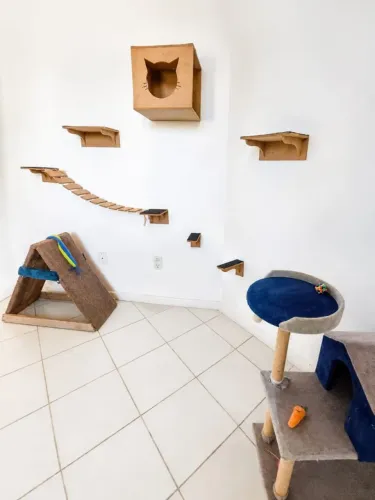 Kit completo para gatos: Nichos, ponte, arranhadores e tapete