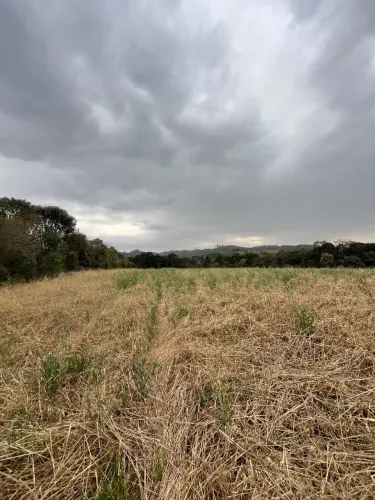 Chácara a venda , 150 mil