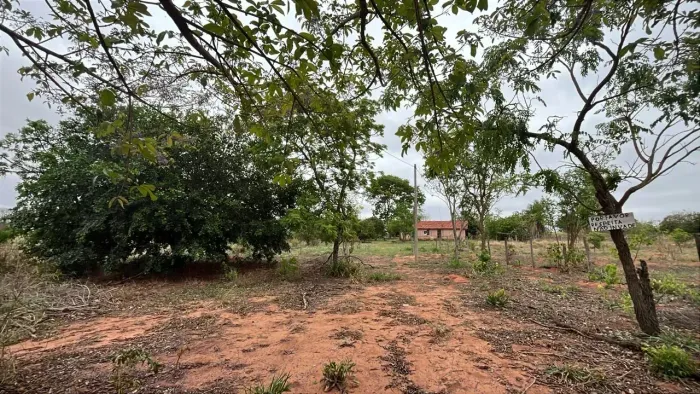 CÓD. 278 Chácara 7 ha | 30 km de Campo Grande