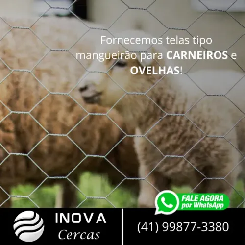 Tela mangueirão com 50m de comprimento