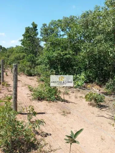 Fazenda com 107 alqueires Goiano à venda no município de Sucupira/TO.