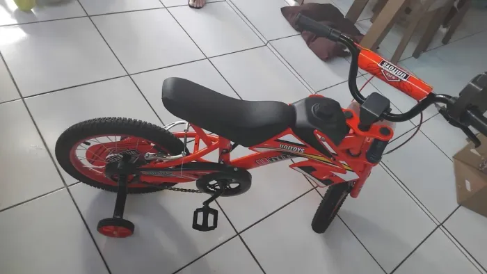 Bicicleta 