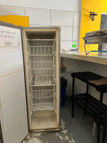 Freezer vertical