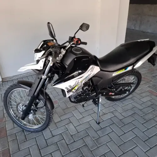 Lander Branca 2019/2020