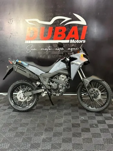 Honda 300/ 300 Abs/ Flex